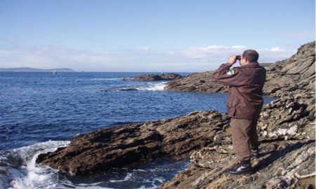 Guardapesca Maritimo